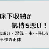 床下収納が気持ち悪い！におい・湿気・虫…感じる不快の正体