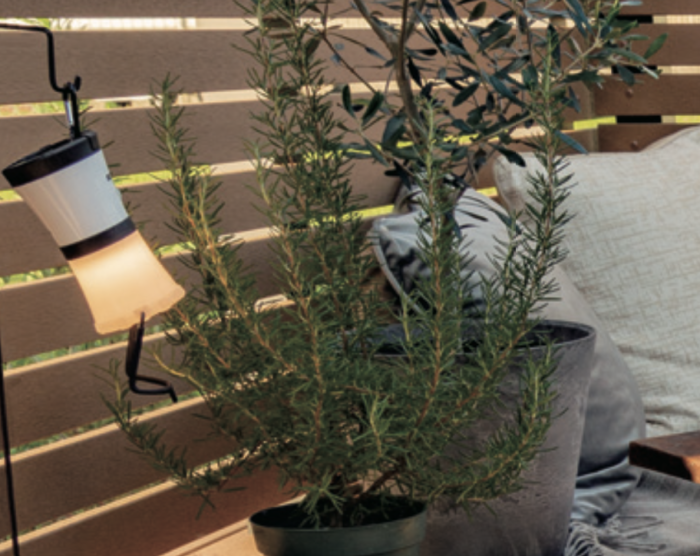 エコモックフェンスに虫は発生するか