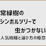 常緑樹のシンボルツリーで虫がつかない人気樹種と選び方の極意