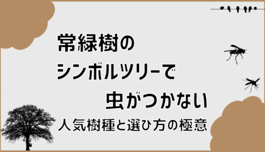 常緑樹のシンボルツリーで虫がつかない人気樹種と選び方の極意