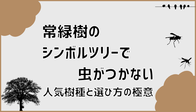 常緑樹のシンボルツリーで虫がつかない人気樹種と選び方の極意