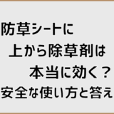 防草シートに上から除草剤は本当に効く？安全な使い方と答え