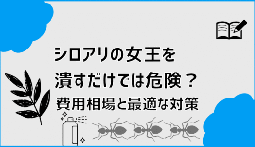 シロアリの女王を潰すだけでは危険？費用相場と最適な対策