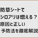 防草シートでシロアリは増える？原因と正しい予防法を徹底解説