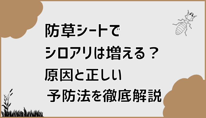 防草シートでシロアリは増える？原因と正しい予防法を徹底解説
