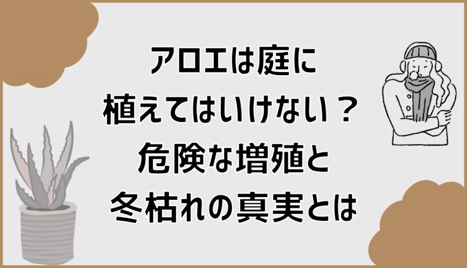 アロエは庭に植えてはいけない？危険な増殖と冬枯れの真実とは