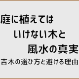 庭に植えてはいけない木と風水の真実。吉木の選び方と避ける理由