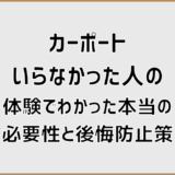 カーポートいらなかった人の体験でわかった本当の必要性と後悔防止策