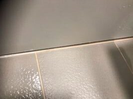 目地がカビやすい