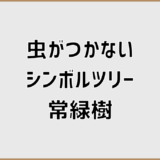 虫がつかないシンボルツリー常緑樹の現実的な選び方