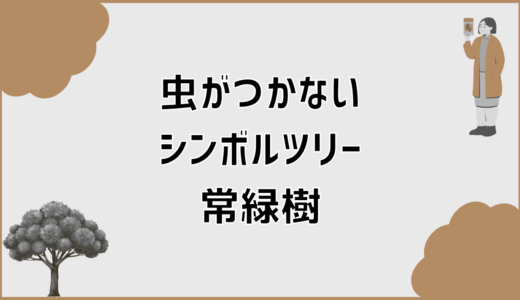 虫がつかないシンボルツリー常緑樹の現実的な選び方