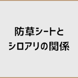 防草シートとシロアリの誤解はなぜ起きる？発生理由と注意点