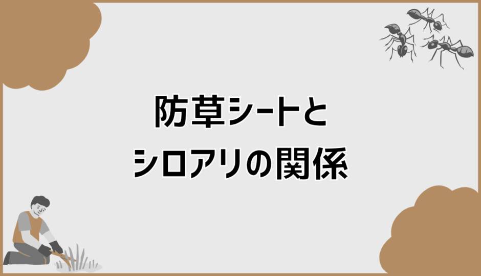 防草シートとシロアリの誤解はなぜ起きる？発生理由と注意点