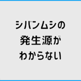 シバンムシの発生源がわからない理由と正しい探し方と対策