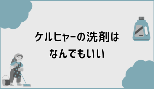 ケルヒャーの洗剤はなんでもいいのか代用可否と安全な選び方