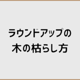 ラウンドアップの木の枯らし方を実践目線で安全解説