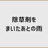 除草剤をまいたあとの雨の見極め方と再散布基準