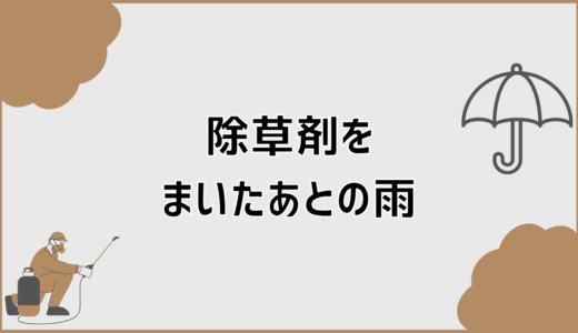 除草剤をまいたあとの雨の見極め方と再散布基準