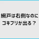 網戸は右側なのにゴキブリが出る原因と今すぐできる隙間対策