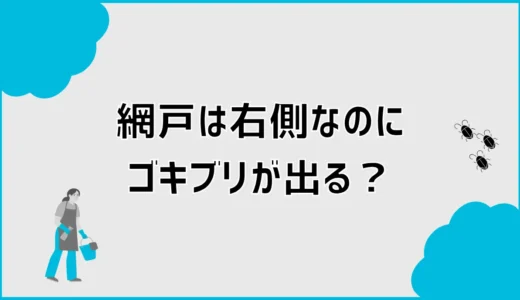 網戸は右側なのにゴキブリが出る原因と今すぐできる隙間対策