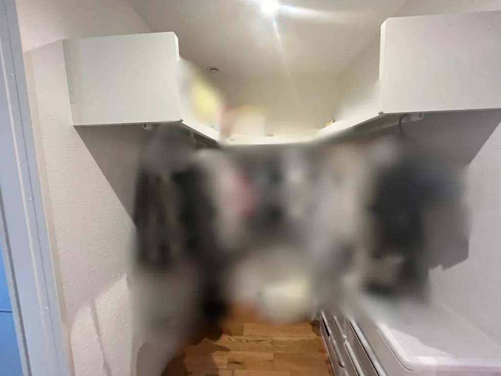 両側に棚とハンガーパイプを備えたウォークインクローゼット内部