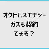 オクトパスエナジーのガスは契約できる?セットとLP対応を解説
