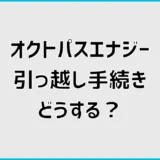 オクトパスエナジーの引っ越し手続きは？開通までの流れを解説